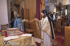 IMG_4451.jpg